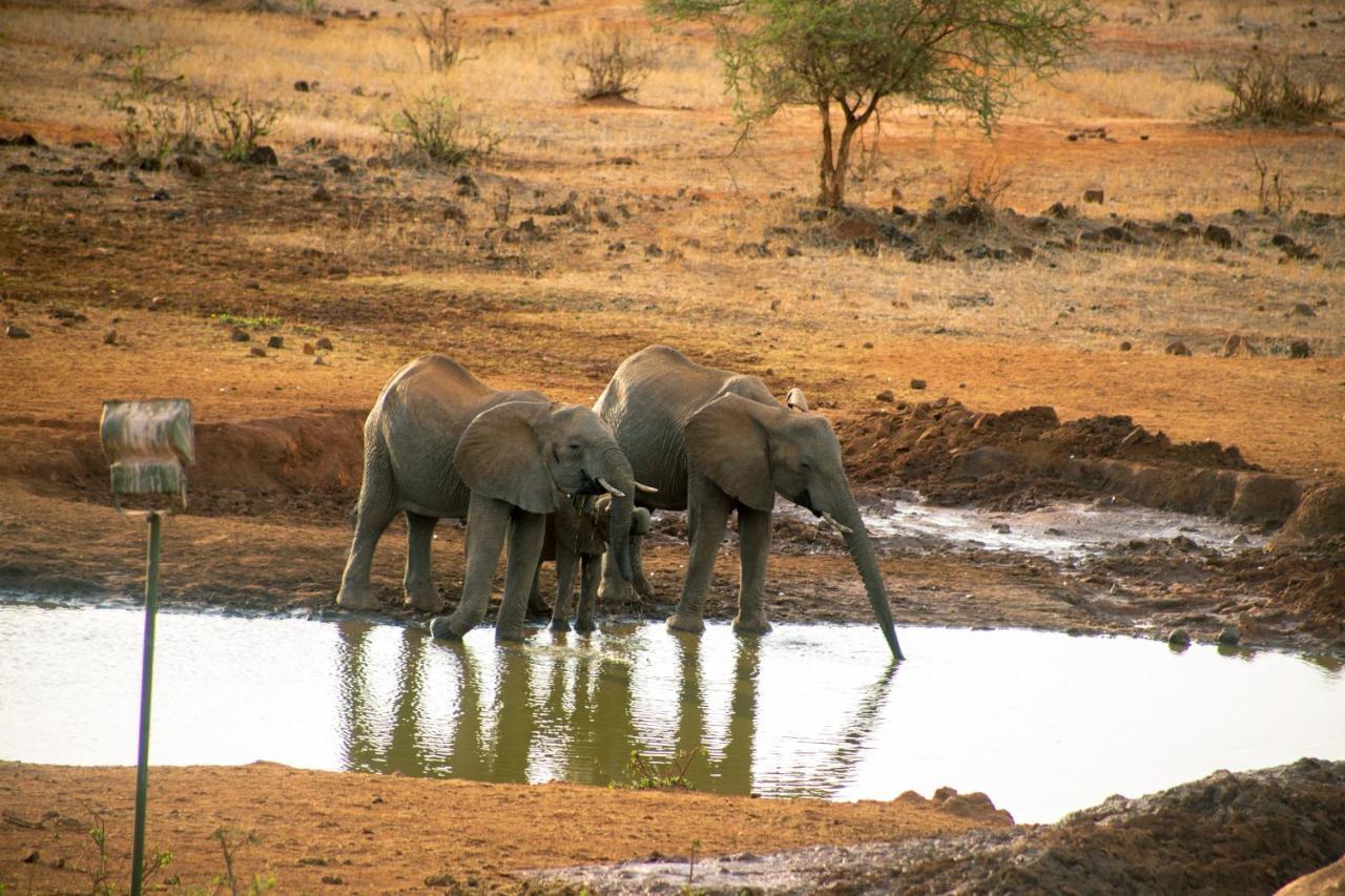 Kilaguni Serena Safari Tsavo